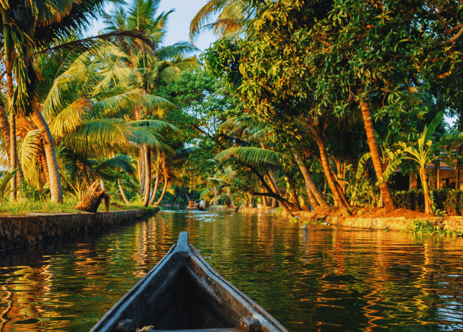 Festival d’Onam au Kerala
