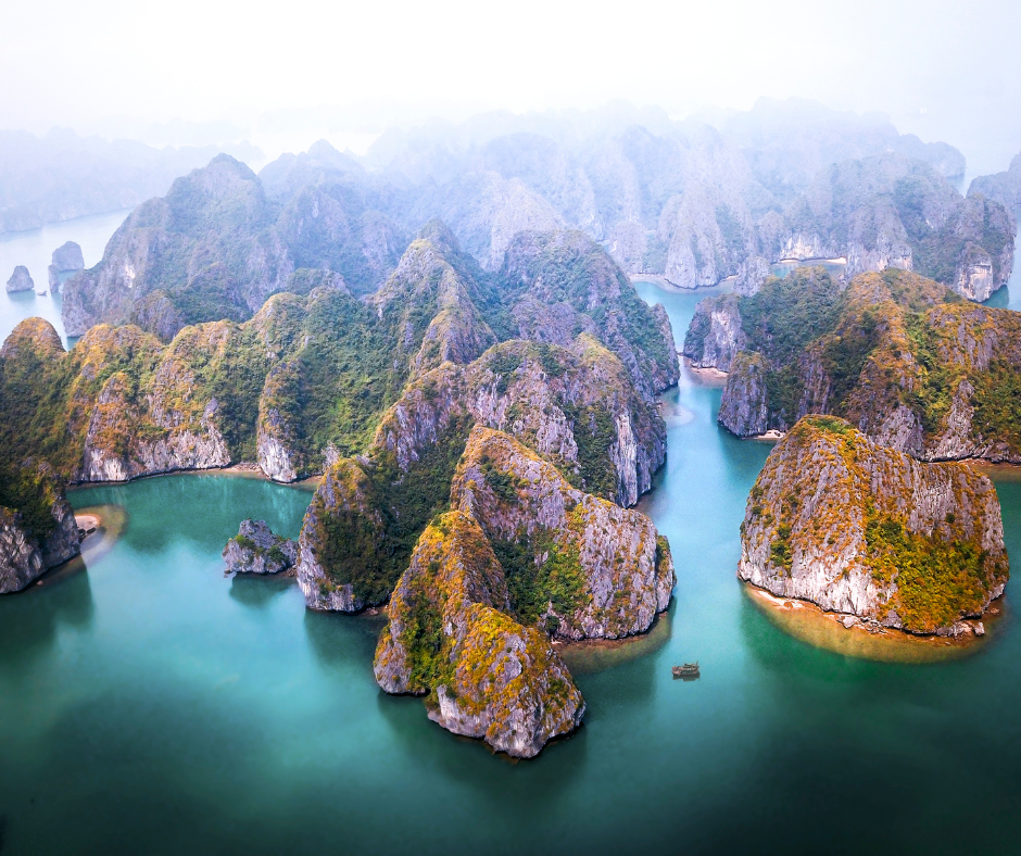 sejour-original-vietnam