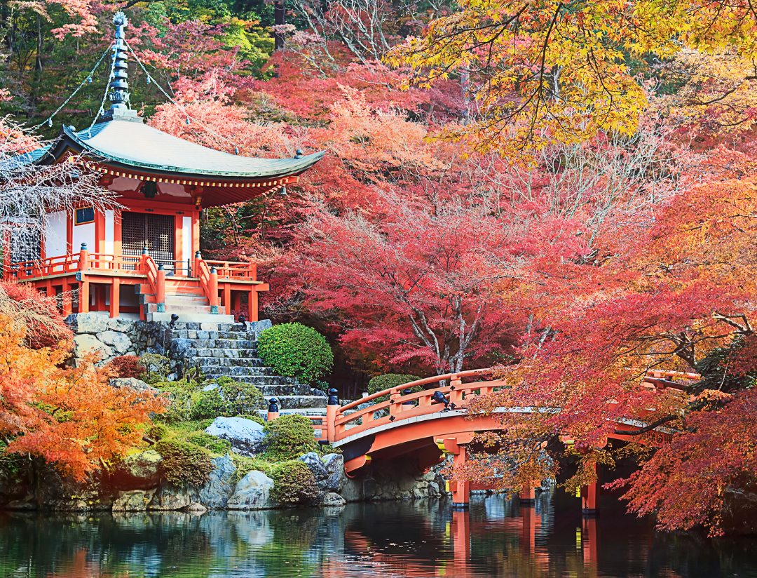 Le Japon entre traditions et modernité